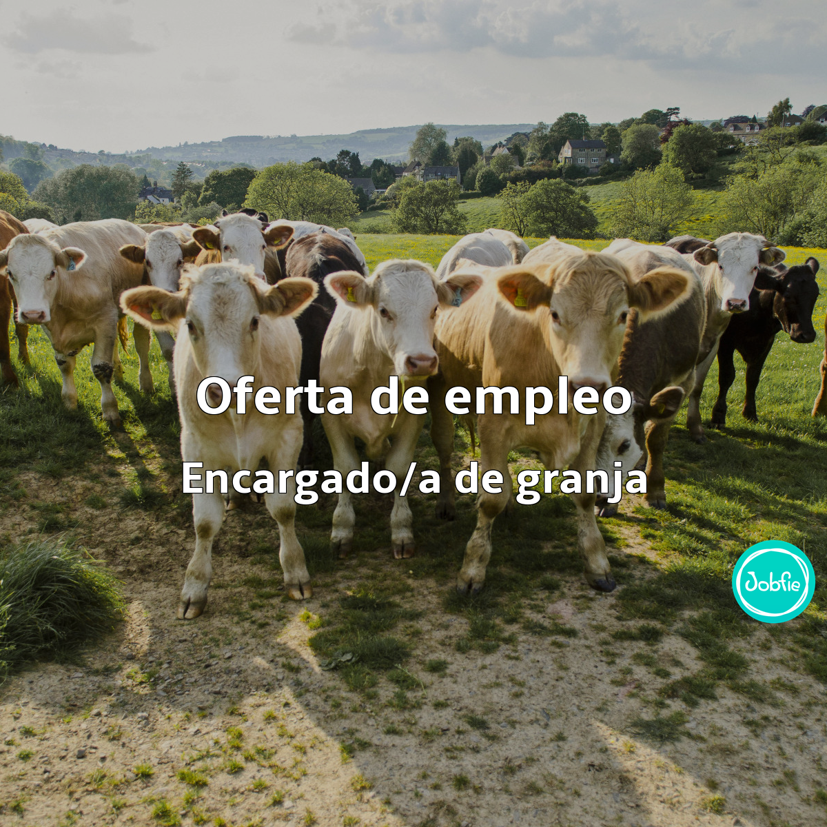 Foto empresa