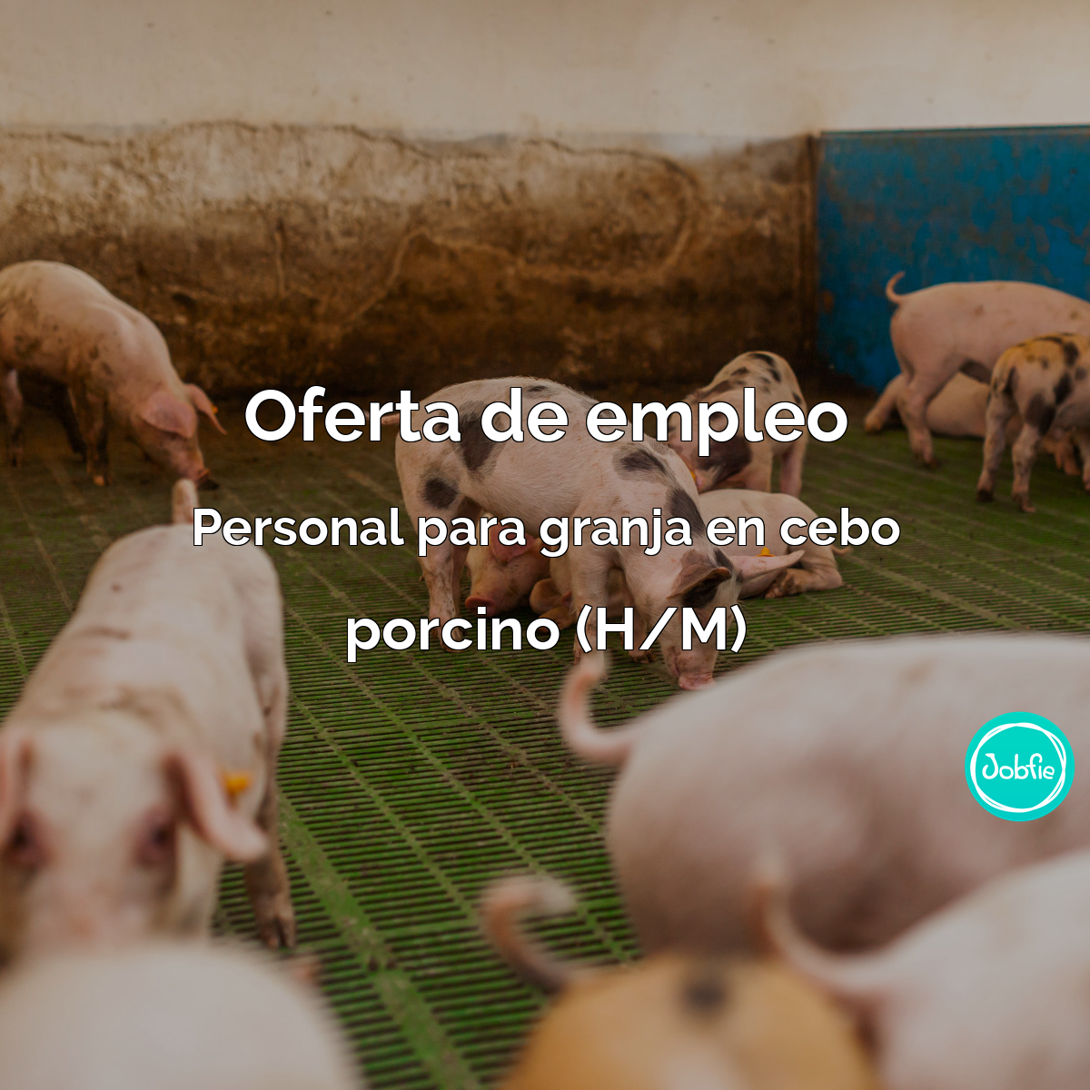Foto empresa