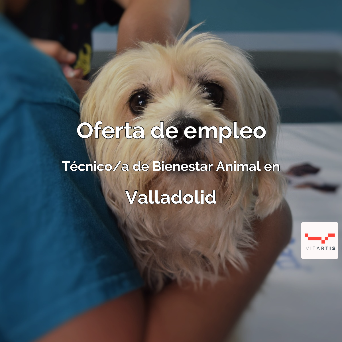 Foto empresa